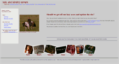 Desktop Screenshot of boilsandblindingtorment.com